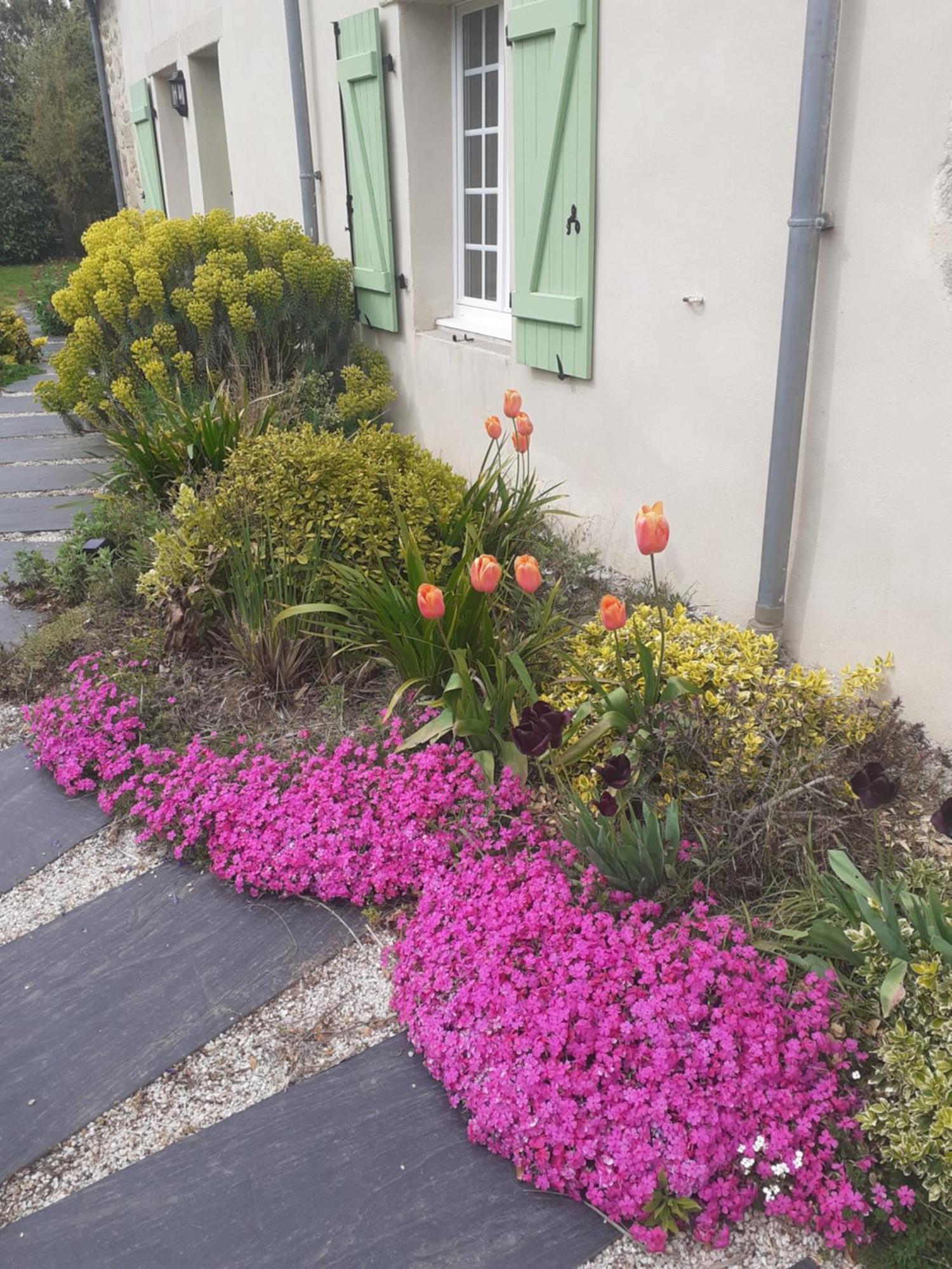 Les Loges De Yoff Bed & Breakfast Ambon Exterior foto